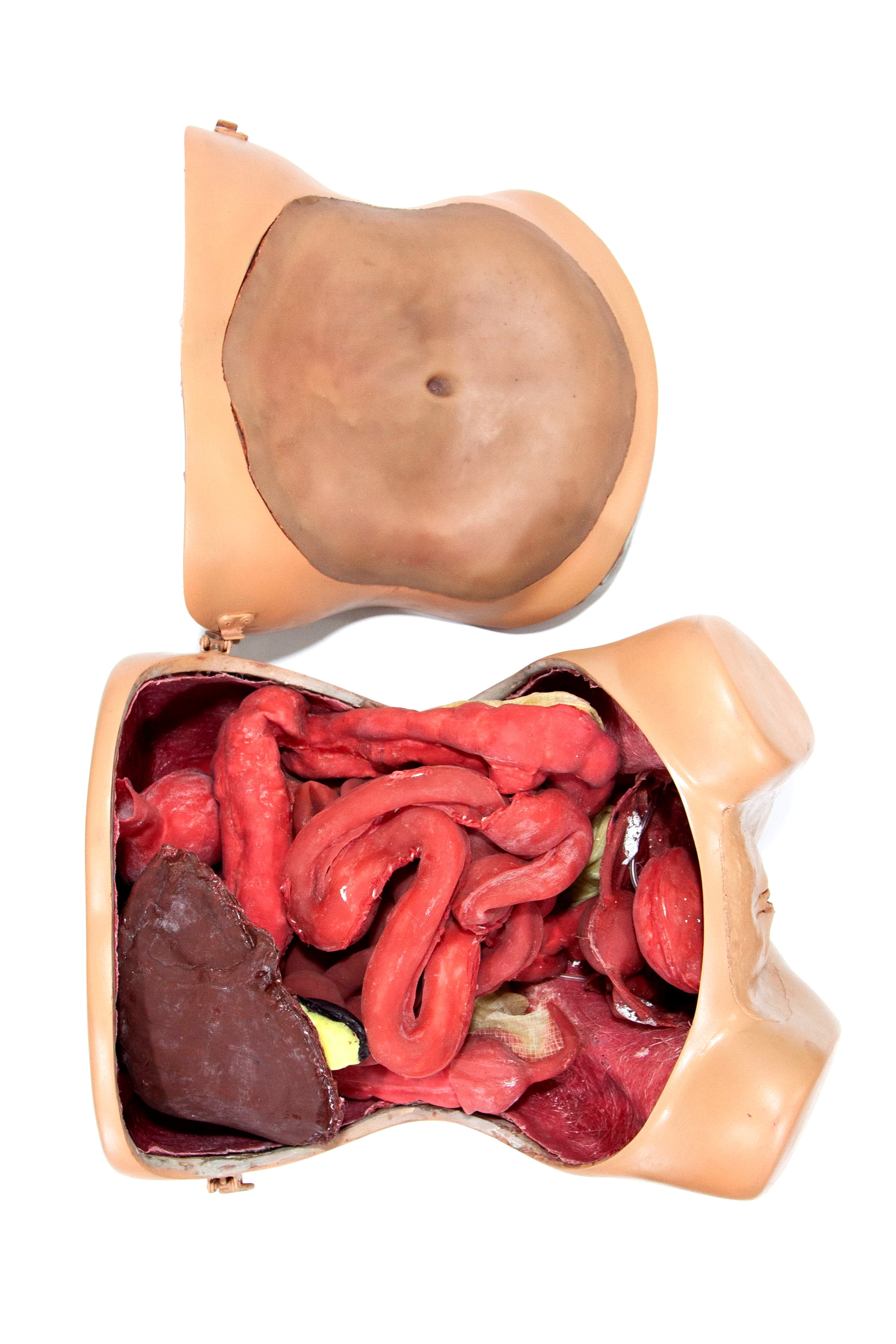 Gynecology surgical simulation model