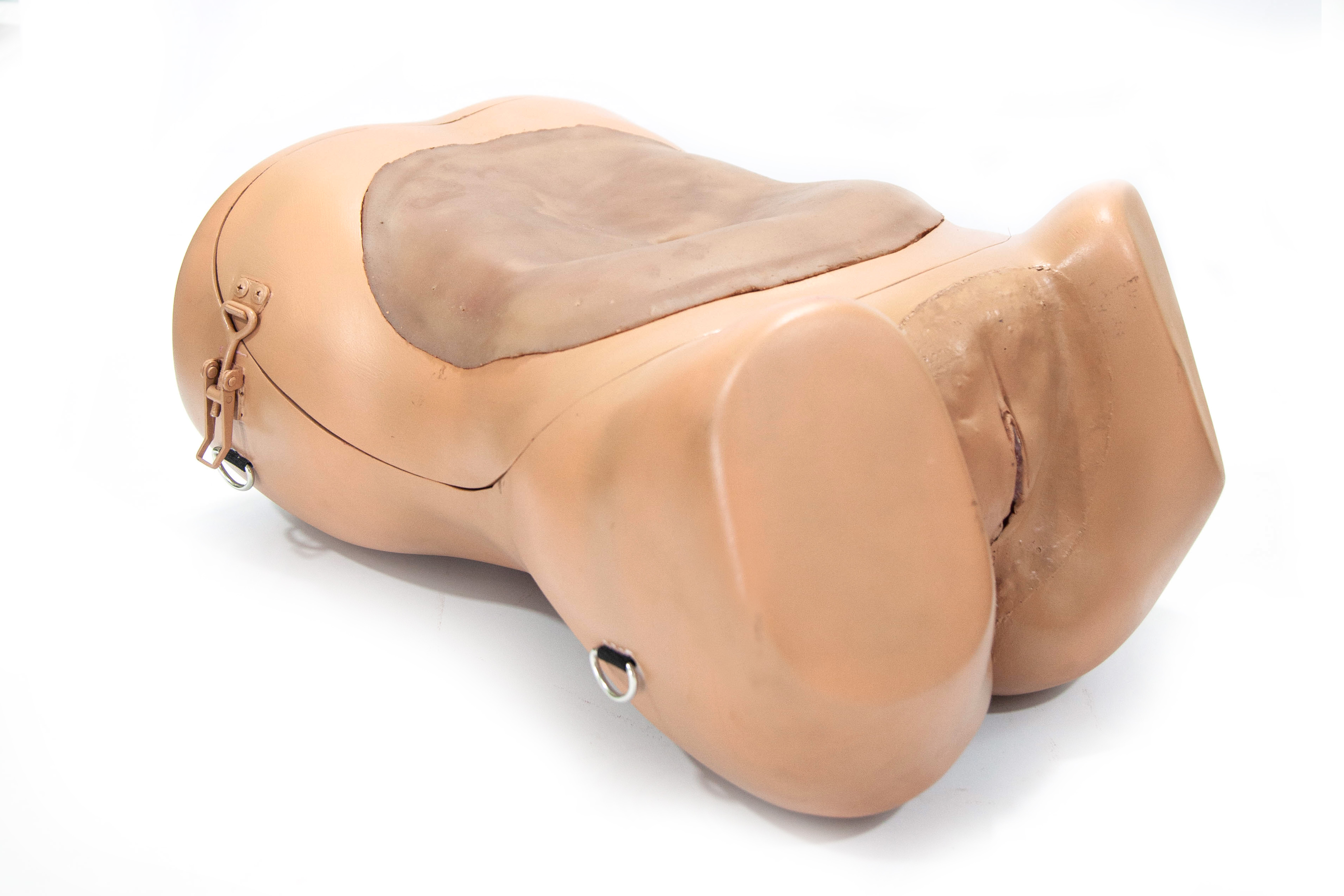 Angled view of surgical simulation model