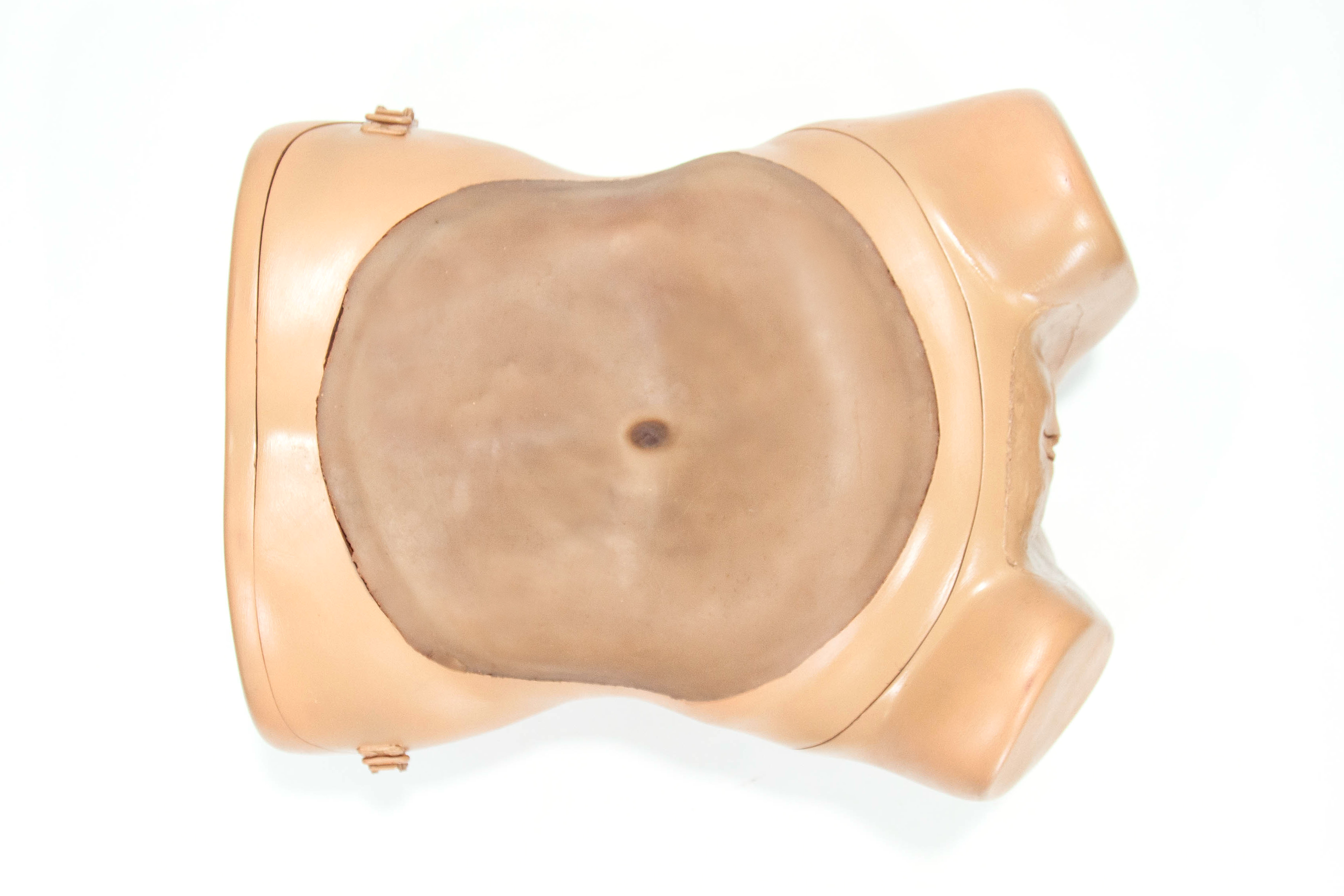 Top view of surgical simulation model