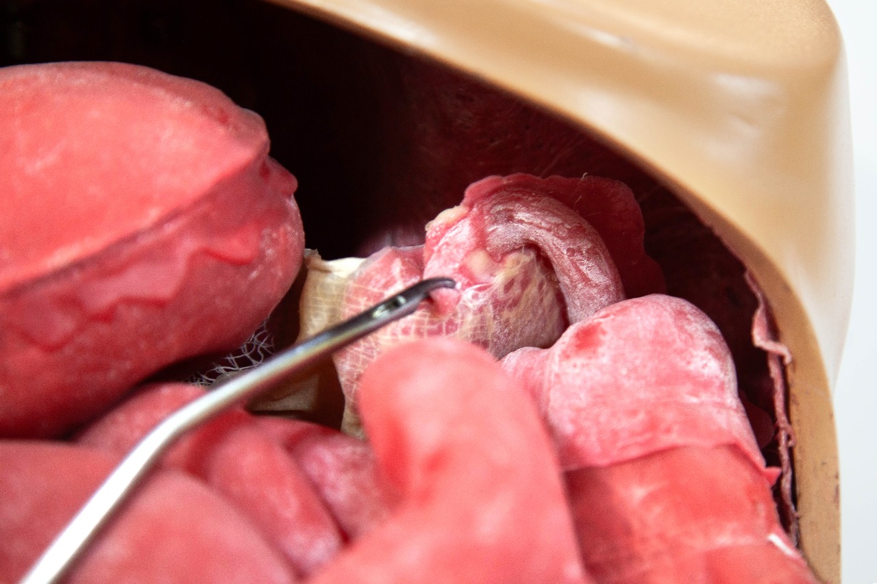 Instrument practice on a surgical simulation model