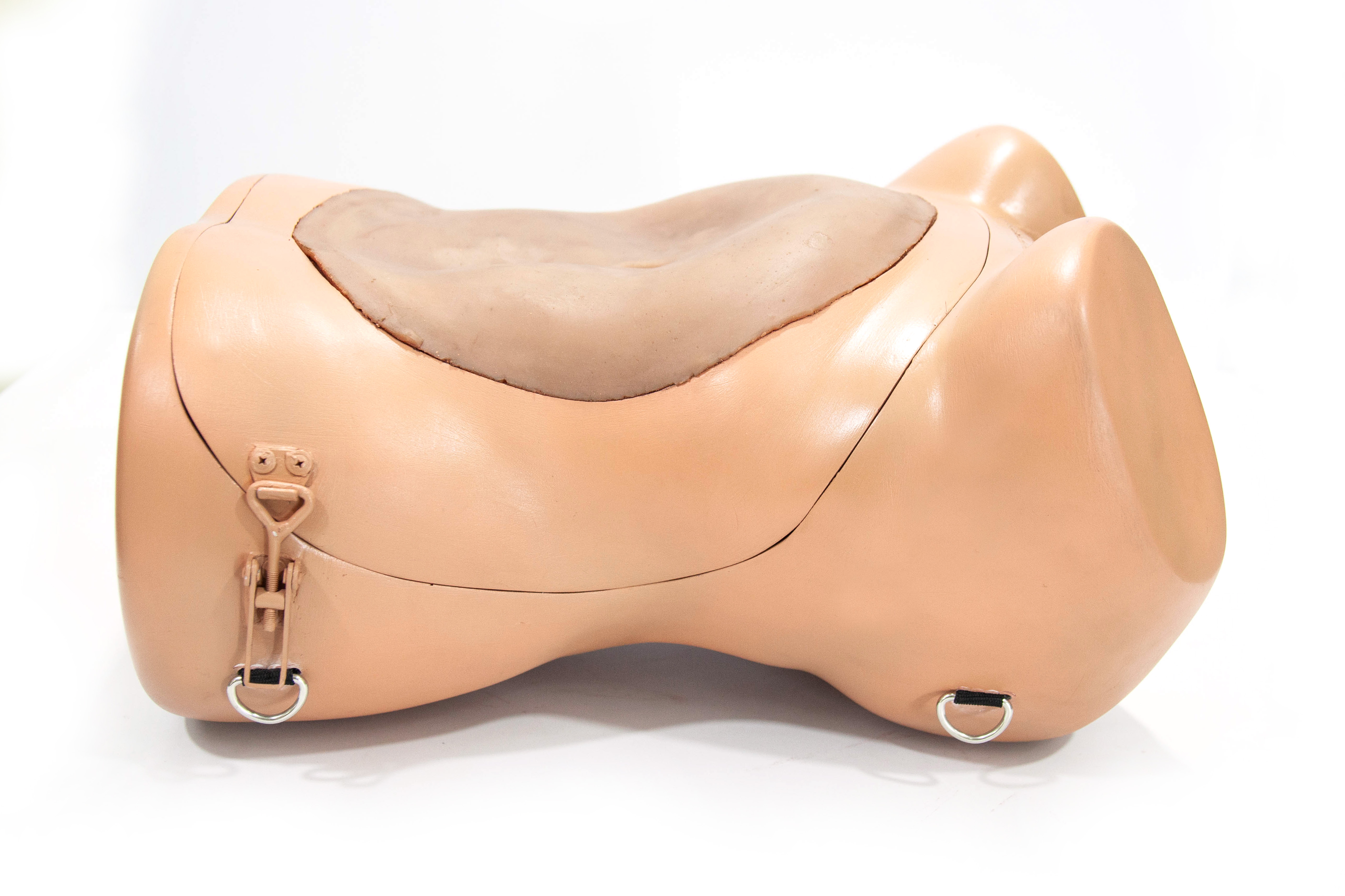 External view of surgical simulation model
